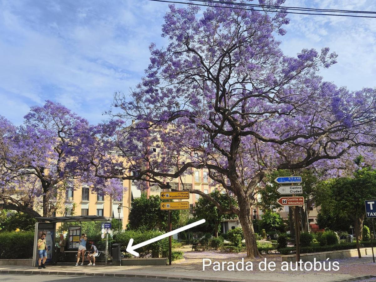 M&D Centro Malaga 아파트 외부 사진